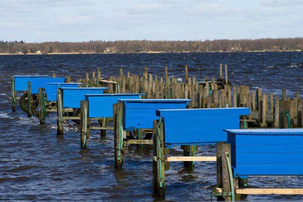 Hansens Haus Am Meer Bad Zwischenahn Esterno foto